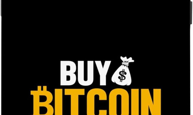 Hülle für iPhone 15 Pro Max Bitcoin kaufen