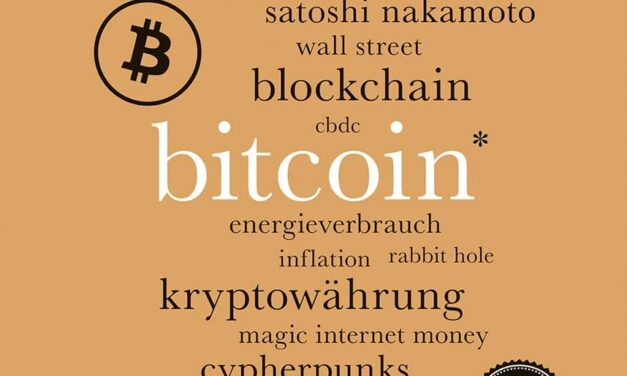 Bitcoin. 100 Seiten (Reclam 100 Seiten)