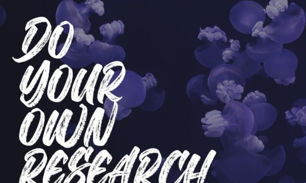 DO YOUR OWN RESEARCH: Der Blockchain und Krypto Einsteiger-Guide inklusive der Top 25 Projekte